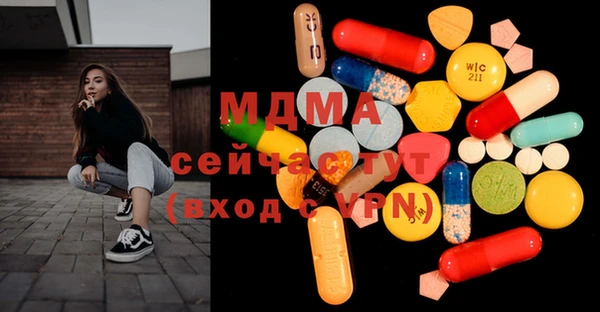 индика Алексин