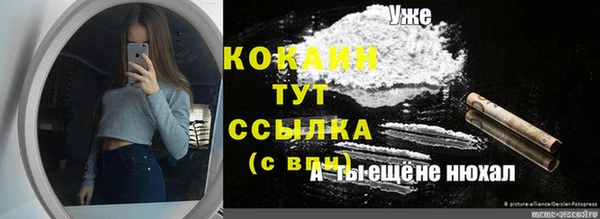 индика Алексин