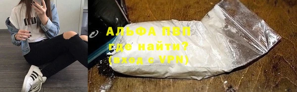 индика Алексин