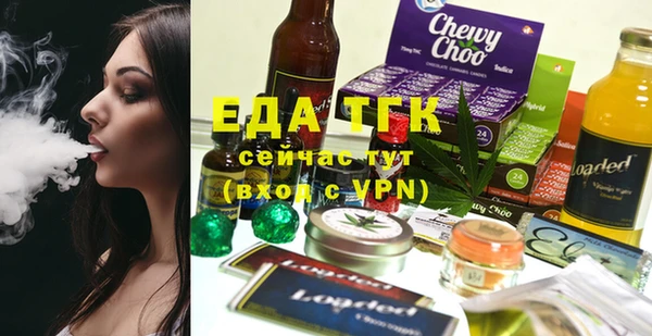 индика Алексин