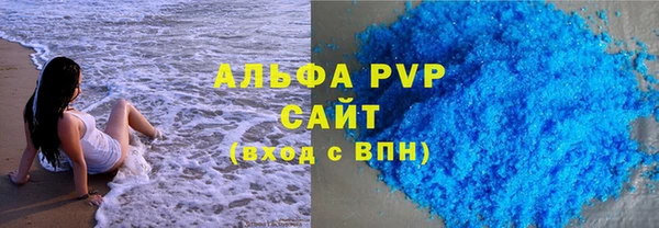 индика Алексин