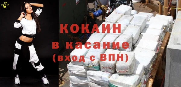 индика Алексин