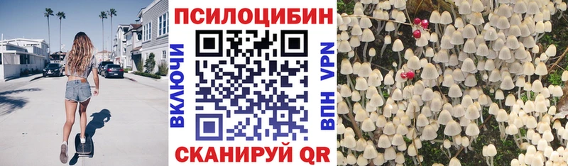 даркнет сайт  Каргат  мега как зайти  Псилоцибиновые грибы Magic Shrooms 