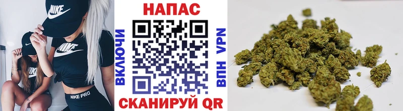 хочу наркоту  Каргат  Марихуана ГИДРОПОН 